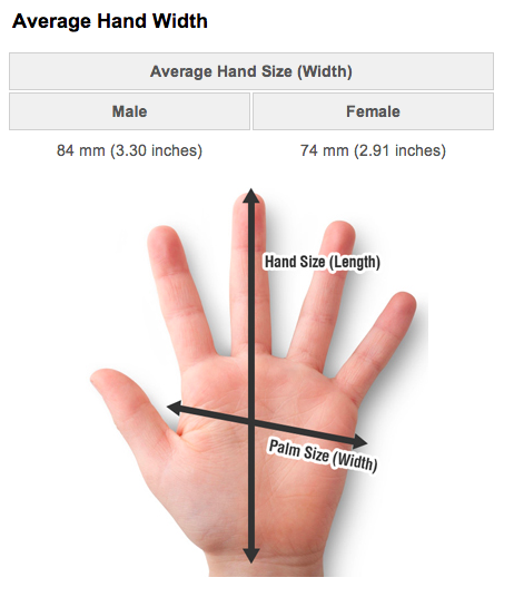 Average Size Of Males Penis 54